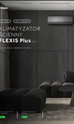 karta produktu haier flexis silver shine